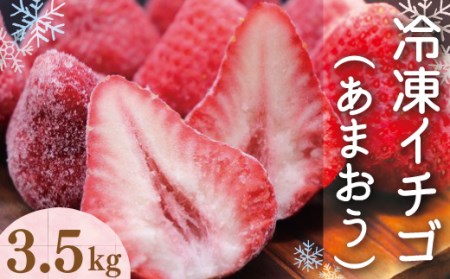 【期間限定発送】 いちご 冷凍 令和6年産 冷凍 完熟 あまおう 3.5kg [豊田農園 福岡県 宇美町 um40azp070001] イチゴ 苺 フルーツ 冷凍フルーツ 果実 甘い