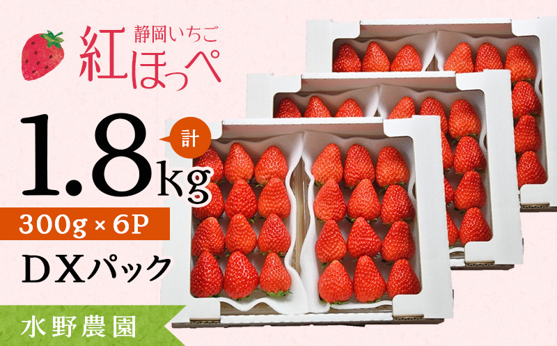 
２０９５　掛川産完熟いちご 紅ほっぺ 300g×6P 1.8ｋｇ (8～15粒入×6P)　※発送時期をお選び下さい①4月 ②5月 　受付順に順次発送・ 水野農園
