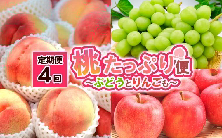 
            【定期便4回】桃たっぷり便～ぶどうとりんごも～ FY25-016
          