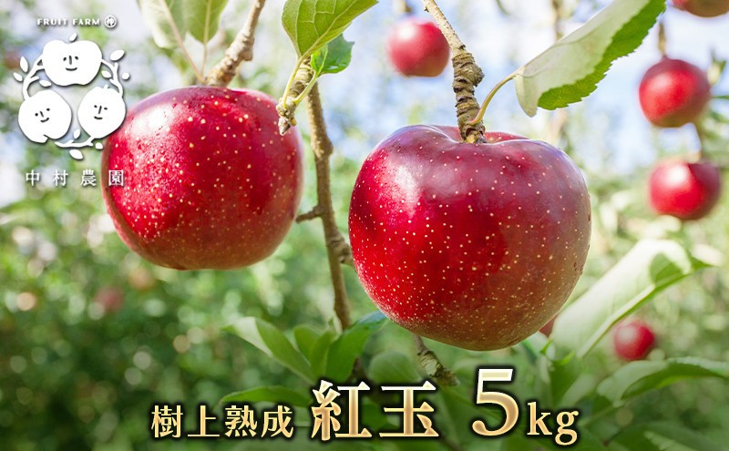 
                  【9月下旬発送 先行予約】樹上熟成　紅玉 5kg
                