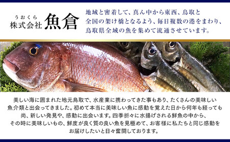 【活】タグ付き 松葉ガニ 中1枚（700g前後） | 松葉 カニ 訳あり活 特大 美味しさに 訳あり 不揃い でないたっぷり【着日指定不可】※2025年11月上旬～2026年3月下旬頃に順次発送予定