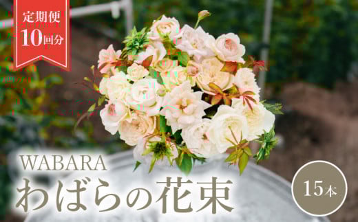 わばら花束15本定期便　１０回分　 WABARA  摘みたて ブーケ 花束 Rose Universe