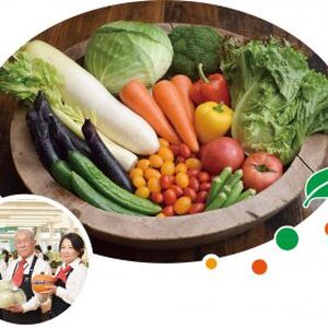 渥美半島のやさい特選便 13-15品目 特製ドレッシング付き 野菜ソムリエ監修 旬の野菜 セット 食べ比べ 季節限定 数量限定