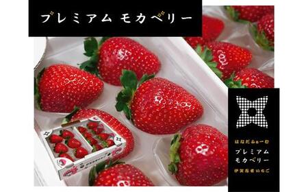 伊賀忍者いちご プレミアムモカベリー 2パックセット（約270g×2）［苺　いちご　苺　イチゴ　いちご	