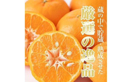 ＜先行予約受付中！2026年1月中旬頃より順次発送予定＞《期間限定・数量限定》鹿児島県産薩州薩摩(厳選ぽんかん)(約5kg・2.5kg化粧箱×2箱) 国産 みかん ミカン 蜜柑 ポンカン 柑橘 冬季 