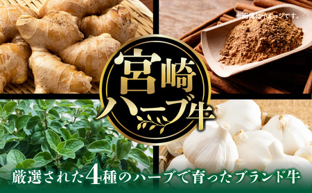宮崎ハーブ牛サーロインステーキ 合計600g 宮崎牛 ハーブ ステーキ