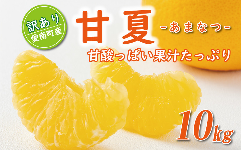 
            先行予約 訳あり 甘夏 10kg 7000円 樹齢25年 以上 みかん mikan 蜜柑 あまなつ 夏みかん グレープフルーツ だいだい 家庭用 事前 予約 受付 産地直送 国産 農家直送 糖度 期間限定 数量限定 特産品 ゼリー マーマレード ピール ジュース デザート 人気 限定 おいしい 果実 果肉 フルーツ 果物 柑橘 美味しい サイズ ミックス 減農薬 くらもとファーム 愛南町 愛媛県
          