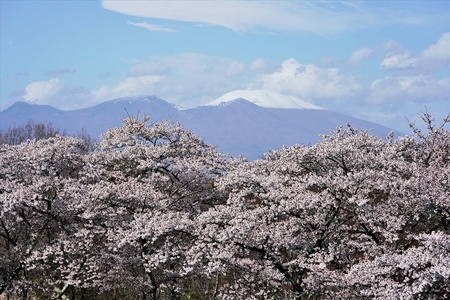  春日温泉もちづき荘　ご宿泊券1泊2食「信州佐久の６大名物　味わい尽くしプラン」　【１名様用】【春日温泉　もちづき荘　自慢の源泉かけ流し　滝風呂　岩風呂　地元の食材を使用した夕食　長野県 佐久市 】