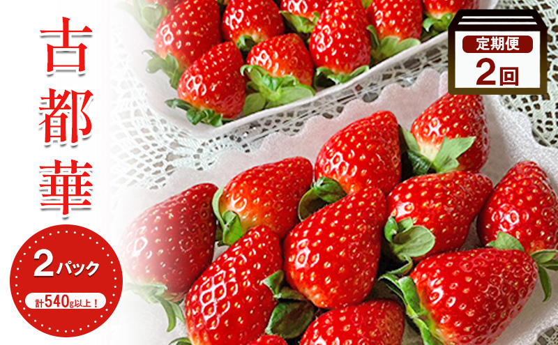 【2回定期】いちご 古都華 約270g ×2パック フルーツ 果物 旬 産地直送 旬のフルーツ 旬の果物 お取り寄せ おやつ デザート 希少 ことか 苺 冷蔵 冷蔵配送 奈良 奈良県 BN001
