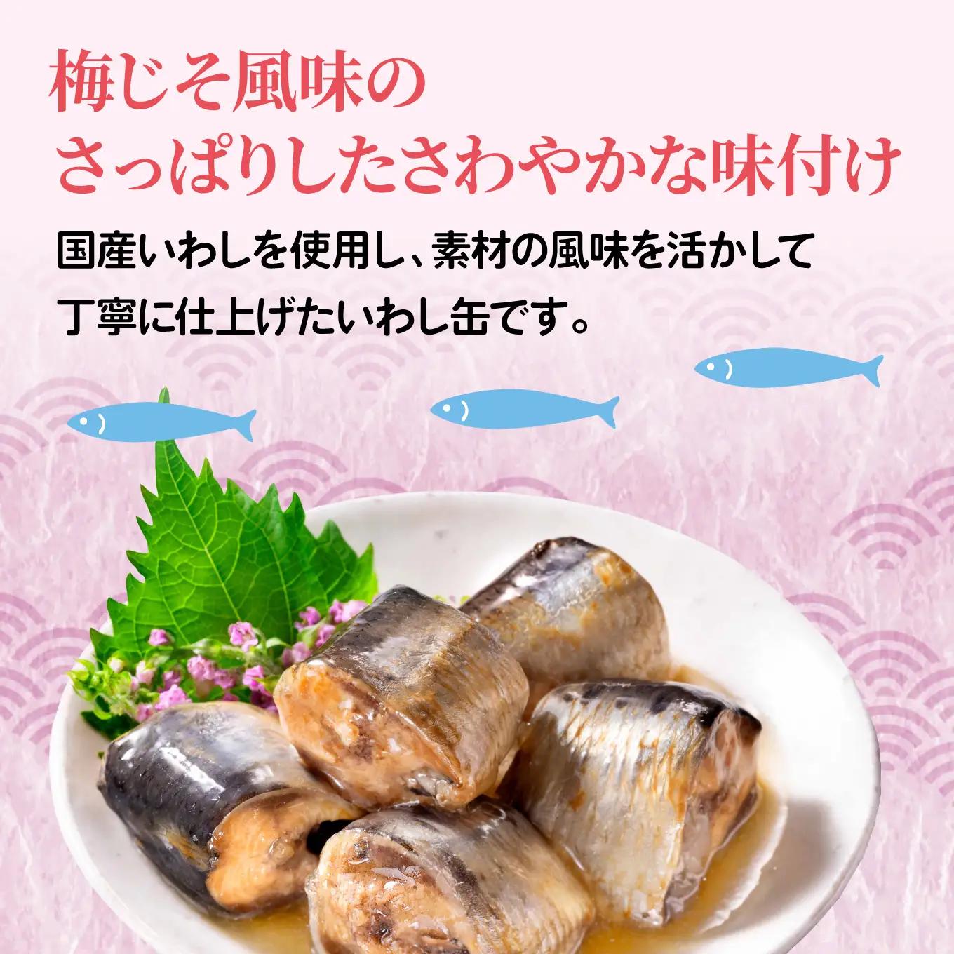 日本のいわし缶 梅じそ風味 130gx24缶　HOKO 宝幸　青森県 八戸市