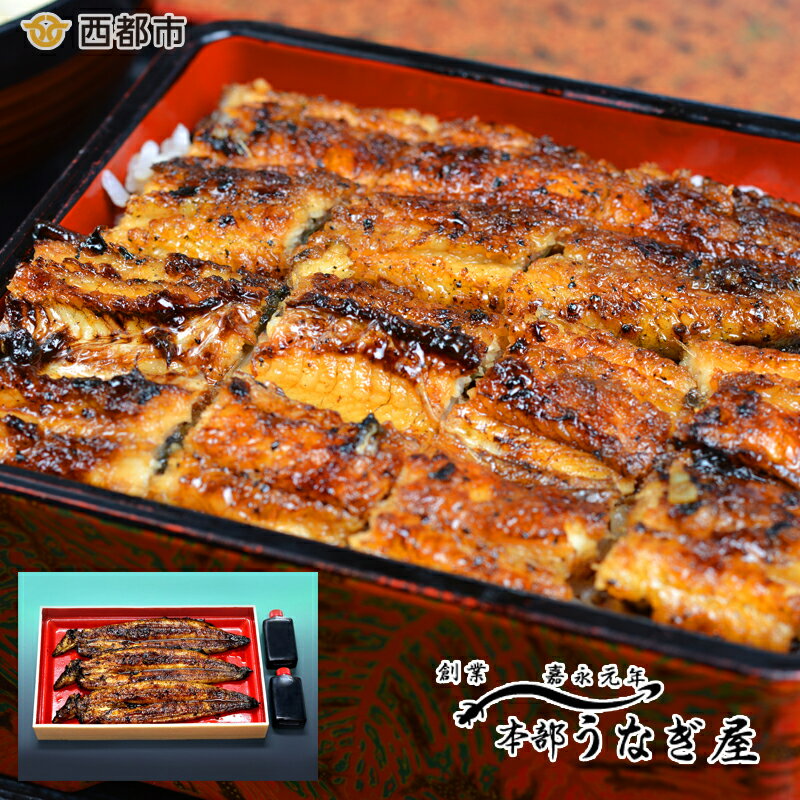 【ふるさと納税】西都市 本部うなぎ屋 鰻の蒲焼（3尾） 国産 うなぎ 手焼き 真空パック 小分け 送料無料 宮崎県 西都市＜4.6-1＞「西都市ピカイチ認証品」丑の日までのお届け分受付中