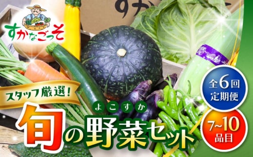 【全6回定期便】よこすか野菜セット すかなボックス / 野菜 やさい 野菜ボックス 野菜セット 野菜詰め合わせ 産地直送 野菜BOX おまかせ 食べ比べ 新鮮 季節 【JAよこすか葉山】 [ASCB003]