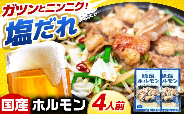 
            岐阜県産豚もつの鉄板焼き「元祖みたけとんちゃん」豚塩味（4人前） / モツ もつ 白もつ ホルモン / 御嵩町 / 藤よし [AVAA038]
          