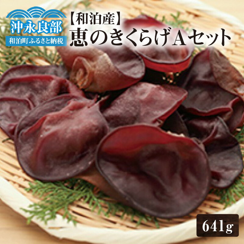 【ふるさと納税】 地の利を生かした 沖永良部産 恵のきくらげ Aセット 641g きくらげ 木耳 キクラゲ さとうきび さとうきび搾りかす バガス ミネラル 栄養満点 栄養価 肉厚 食物繊維 野菜 やさい キノコ きのこ 南国きのこ苑 和泊町 おすすめ ランキング プレゼント ギフト