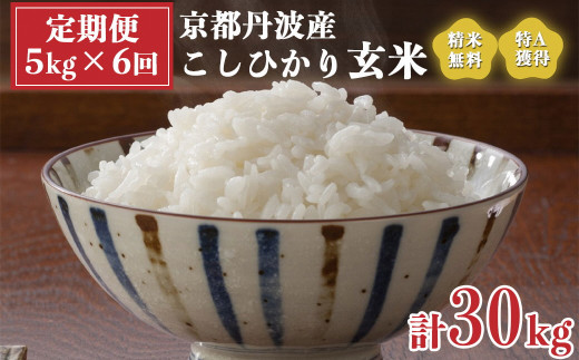 【定期便】米 令和5年産 京都 丹波産 こしひかり 玄米 5kg×6回 計30kg｜5つ星お米マイスター 厳選 受注精米可 隔月発送も可  ※離島への配送不可