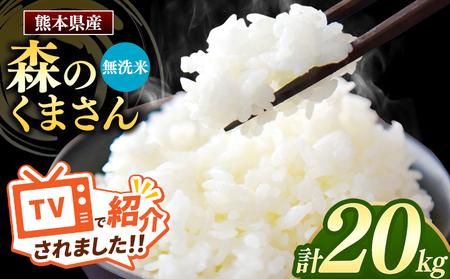 令和7年産 新米  熊本県産 森のくまさん 無洗米 20kg | 小分け 5kg × 4袋  熊本県産 こめ 米 無洗米 ごはん 銘柄米 ブランド米 単一米 人気 日本遺産 菊池川流域 こめ作り ごはん ふるさと納税 返礼品無洗米無洗米無洗米