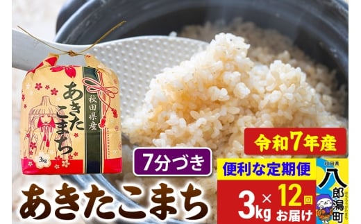 《定期便12ヶ月》 あきたこまち 3kg×1袋【7分づき】令和7年産 秋田県産 こまちライン
