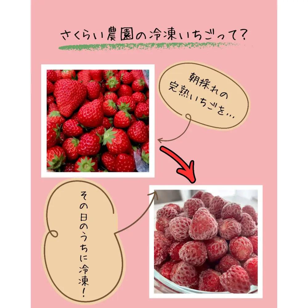 【訳アリ 冷凍いちご】静岡県産の完熟紅ほっぺを使用した冷凍いちご1kg【静岡県産】