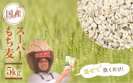 豊橋産スーパーもち麦 5kg もち麦　