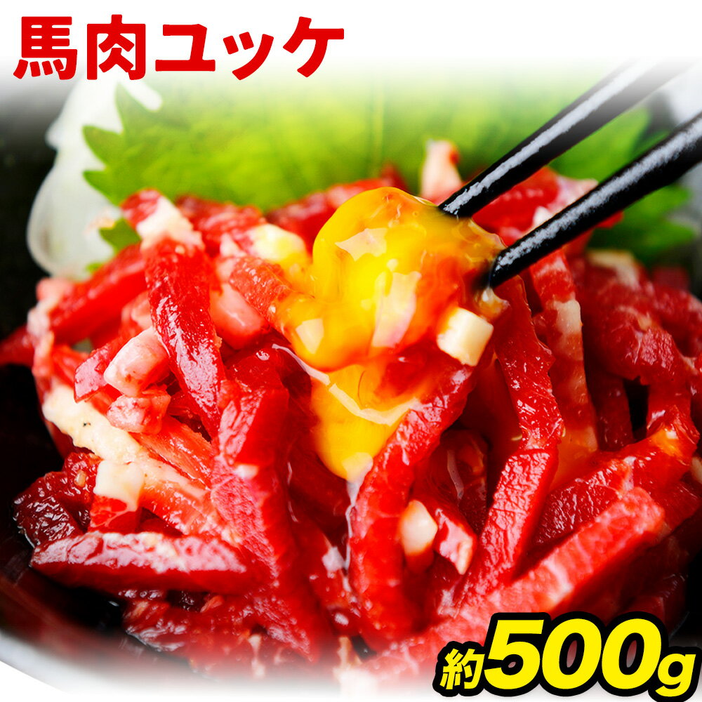 【ふるさと納税】馬刺し 熊本 人気の 馬肉ユッケ たっぷり 500g 株式会社利他フーズ《30日以内に出荷予定(土日祝除く)》 ユッケ 海外産 国内肥育 冷凍 生食用 肉 馬肉 ふるさと納税馬刺し 熊本県 南阿蘇村 送料無料 馬刺 ばさし 名物
