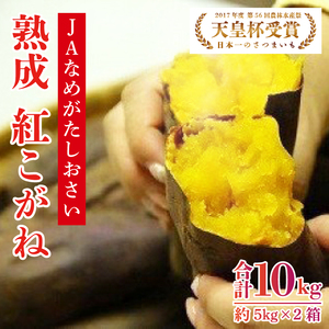 【行方かんしょ】『天皇杯受賞』JA「紅こがね」さつまいも約10kg(AE-107)