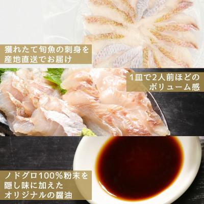 ふるさと納税 浜田市 シーライフの冷凍刺身2種盛り計200g　3〜4人前　産地直送・旬のおまかせ鮮魚 |  | 01