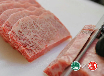 だんだんキッチン 鳥取和牛  特選カルビ 500g 冷凍（大山ブランド会）