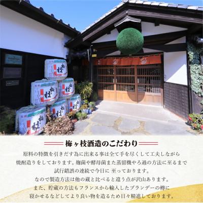 ふるさと納税 佐世保市 ちょっと贅沢　佐世保の地酒3本飲みくらべ |  | 03