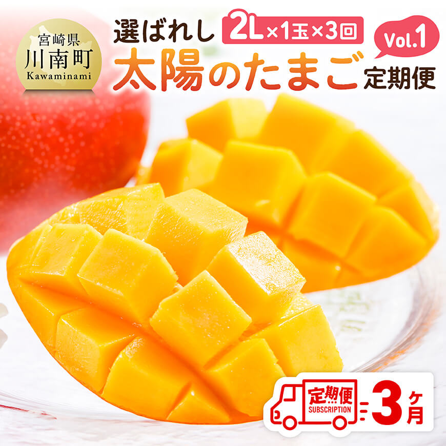 【ふるさと納税】【3ヶ月定期便】選ばれし太陽のたまご定期便Vol.1 - 川南町産 くだもの マンゴー C11708t3