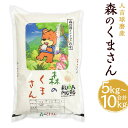 【ふるさと納税】令和6年産 人吉球磨産 森のくまさん 5kg/10kg 選べる内容量 精米 白米 お米 熊本県産 九州産 送料無料