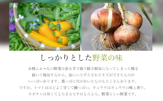 < ANA推奨 >　ぷれみあむとまとのじゅ～す　180ml×6本セット FCAB005