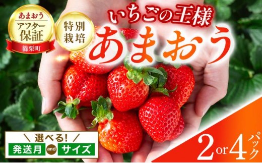 
                  【選べる】いちご 福岡県産 特別栽培 あまおう サイズいろいろMIX またはL~2Lサイズ（少し小ぶりサイズ）約1140g（約285g×4パック）or 約570g（約285g×2パック）【1～4月発送】 ｜農園直送 アフター保証 先行予約 福岡産 送料無料 ケーキ ギフト お祝い 限定 季節限定 UN001/002/003/004/005/006/007
                