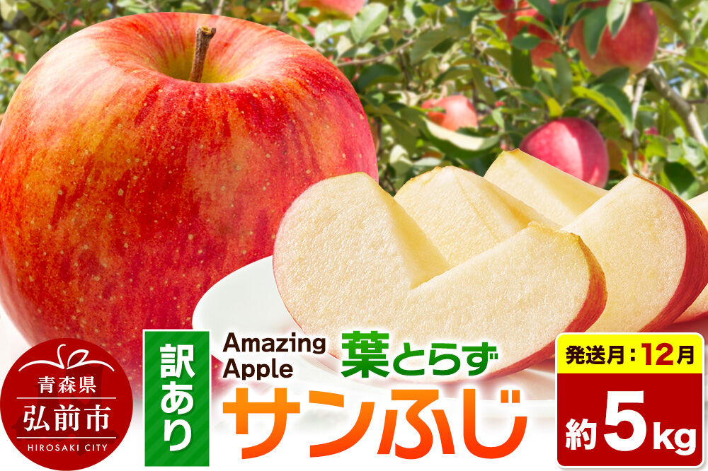 【26年12月発送】りんご 葉とらずサンふじ【訳あり】家庭用 約5kg 先行受付 [先行予約 りんご サンふじ 葉とらず ふじ 訳あり 家庭用 5kg アップル おいしい 果実 果物 取ら 赤色 美味