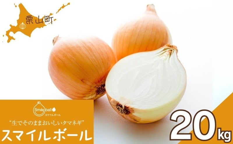 
                  生でそのままおいしいタマネギ「スマイルボール」20kg　J039
                