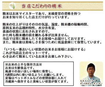 【令和6年産新米予約】新潟人気米セット 6kg(2kg×3種) ミネラル栽培コシヒカリ 新之助 こしいぶき 精米 白米 井上米穀店 11月上旬より順次発送予定 1I09013