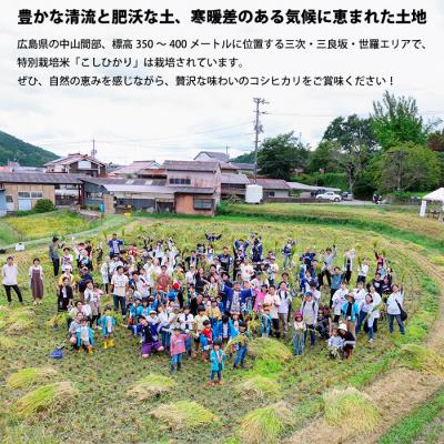 ふるさと納税 三原市 コシヒカリ精米5kg(1kg×5パック)[191-002] |  | 02