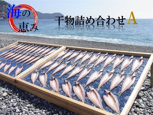 
熊野 干物 詰め合わせ 海の恵み A 鯛 アジ サンマ カマス カワハギ 人気 干物セット
