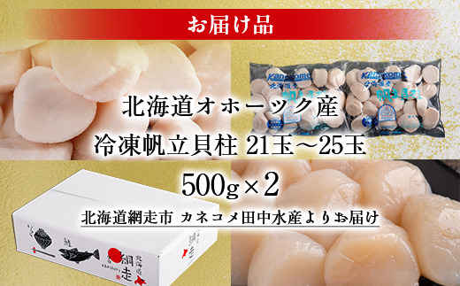 北海道オホーツク産 冷凍帆立貝柱 21玉～25玉 500g×2【 ふるさと納税 人気 おすすめ ランキング ホタテ ほたて 帆立 貝柱 ホタテ貝柱 ほたて貝柱 帆立貝柱 刺身 ホタテ刺身 刺身ホタテ 