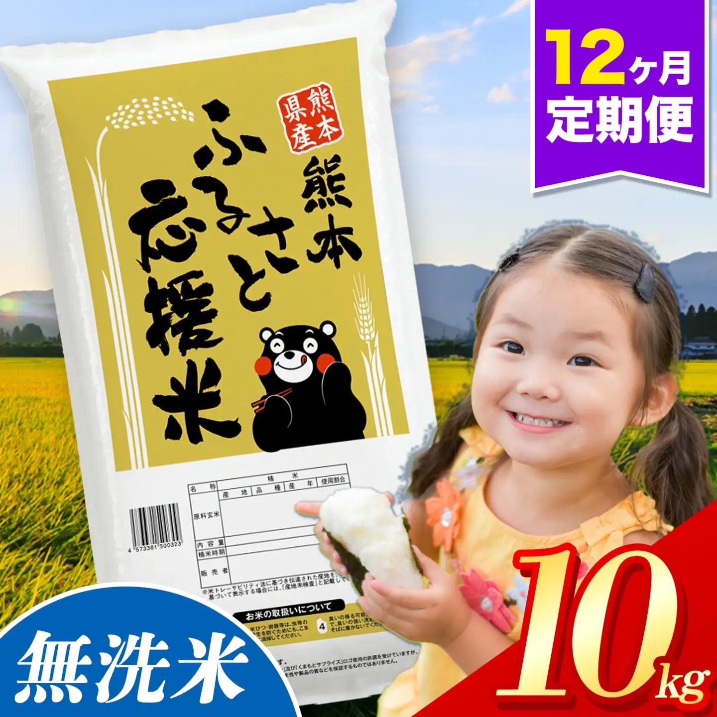 【12ヶ月定期便】米 無洗米 熊本 ふるさと応援 定期便 米  10kg