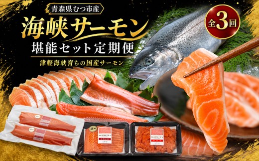 【発送月固定定期便】海峡サーモン堪能セット 全3回