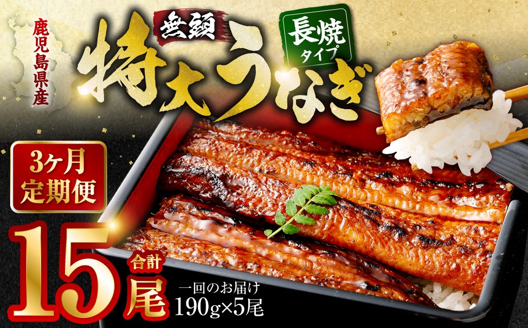 
JS-224【3カ月定期便】 九州産うなぎ蒲焼 約170g×5尾×3回
