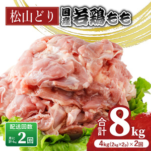 【定期便2回】松山どり もも肉 2kg×2パック×2回 計8kg 鶏肉鶏肉鶏肉【BJ012】