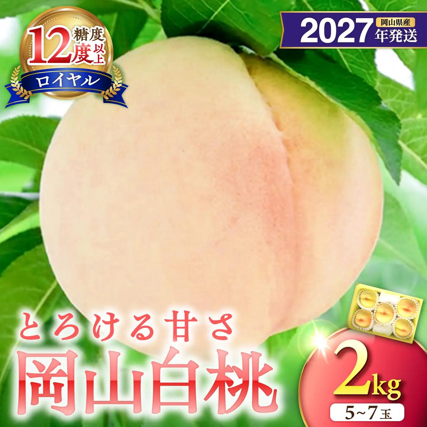【2027年発送分・先行予約開始！】岡山県産 白桃 最高ランク！「ロイヤル」約2kg（5～7玉）（令和9年7月以降発送）【桃】_bz
