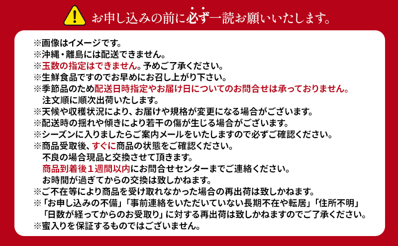 盛岡から「農で人をつなぐ」藤与果樹園：紅いわて 3kg フルーツ 果物 旬のフルーツ 旬の果物 旬 冬 岩手 盛岡 産地直送 玉数指定不可 詰め合わせ 岩手 盛岡