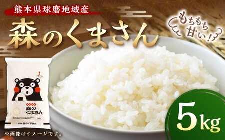 熊本県球磨地域産 【令和7年産】森のくまさん 5kg 米 お米 コメ 精米 白米 ご飯 ごはん 国産 熊本県