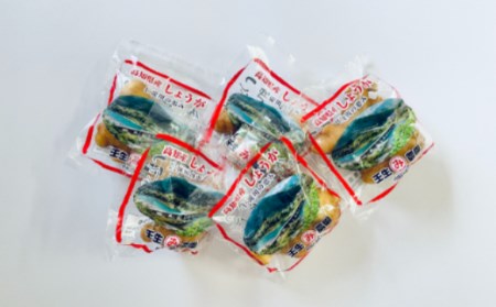 生姜 小分け 100g×5袋　高知県産 国産 囲い生姜 使い切りサイズ 低農薬 お試し