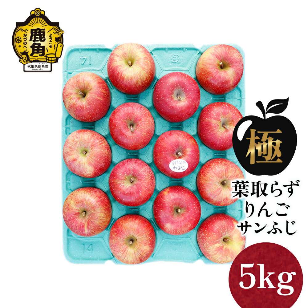 【ふるさと納税】《 先行予約 》 りんご 極 葉取らず サンふじ 5kg（13～20玉）【録政園】 葉とらず みずみずしい 果汁 リンゴ 林檎 完熟 旬 県産りんご お中元 お歳暮 贈り物 お見舞い グルメ ギフト 故郷 秋田県鹿角市産 送料無料
