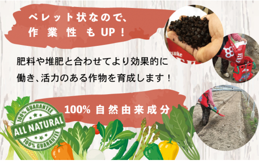 送料無料 土壌改良材 ペレットタイプ  20L 5袋 「GensukeRED」 酵素 微生物 土 リサイクル 須崎 高知  UB019