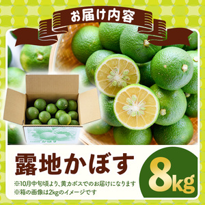 ＜先行予約受付中！2025年8月上旬～2026年2月下旬ごろ順次発送予定＞露地カボス(約8kg)かぼす カボス 柑橘 特産品 大分県産【107100701】【あいはな農園】