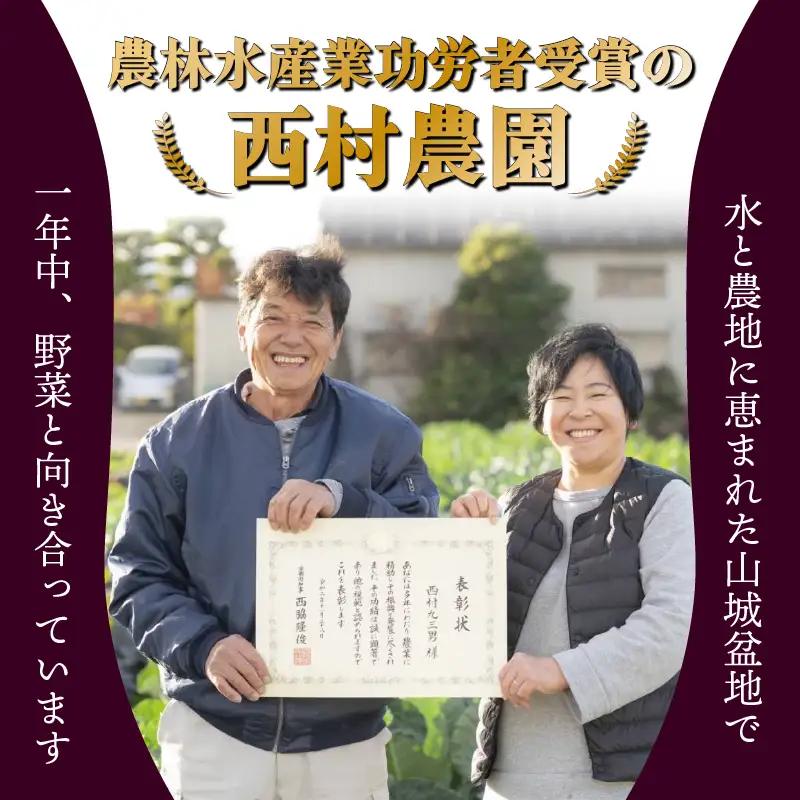 なす 2種類 おまかせ 5本（賀茂なす・水なす・フルーツなす・千両なす・ふわとろ長なす）ナス 京都
